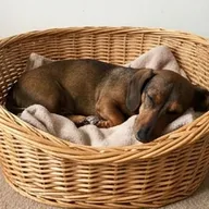Photo de profil de Élodie P.