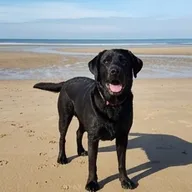 Photo de profil de Chloé M.